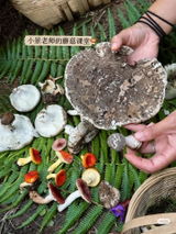 用戶圖片
