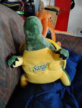 User picture