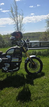 User picture