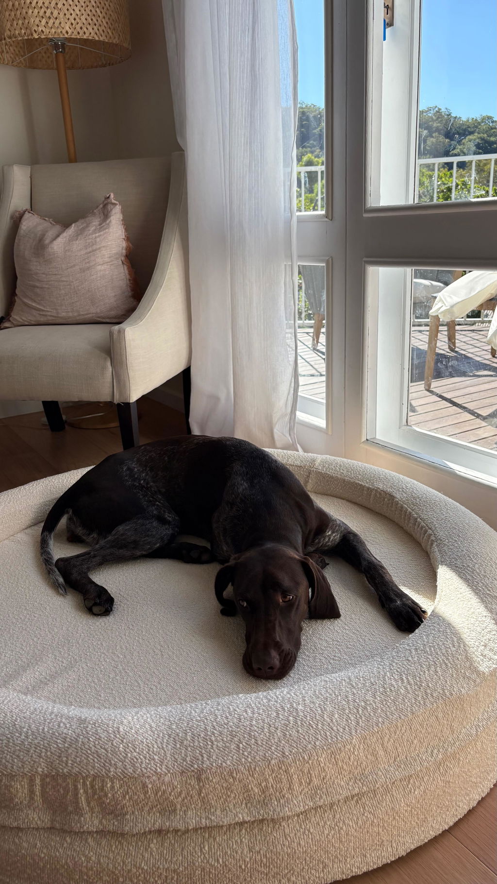 Round Memory Foam Dog Bed - Bouclé Ivory