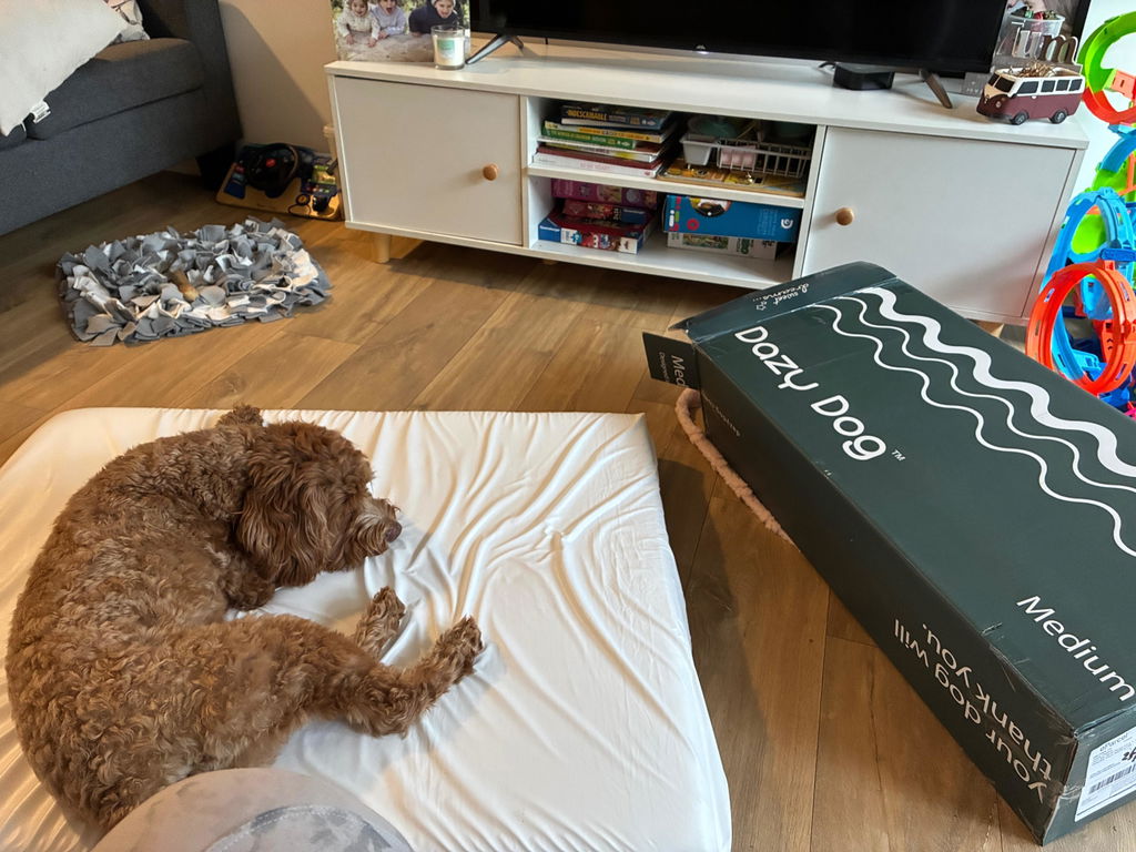 Memory Foam Dog Bed - Puffer Rosewater