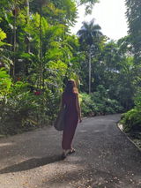 The Linen Maxi Dress