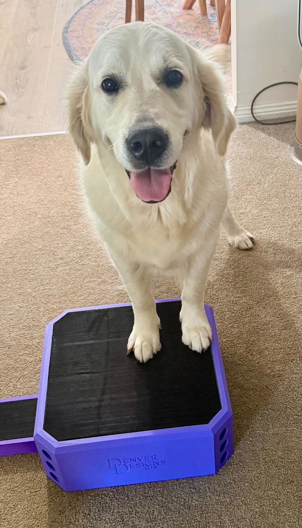 Pivot Training Box