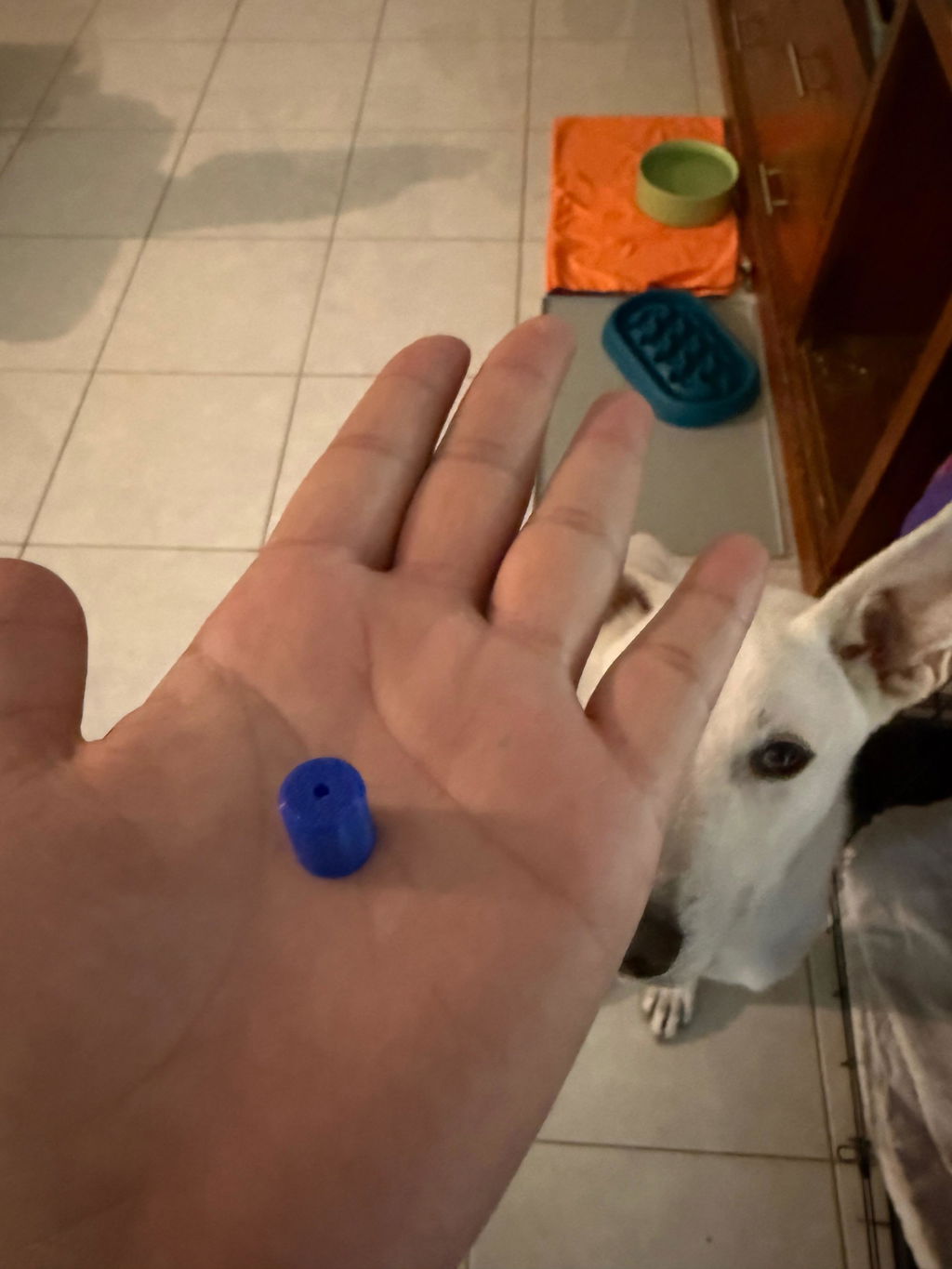 Micro Scent Vessels