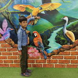 User picture