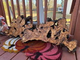 Set of Thin Olive Wood Slices 36"x30"x1" R722