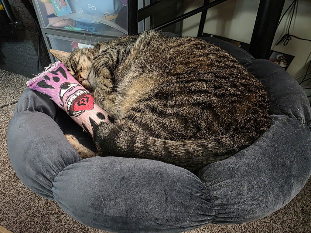 DeskPurrch Cat Bed