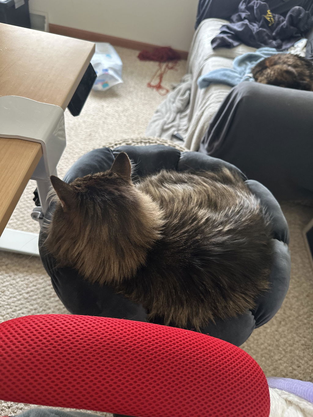 DeskPurrch Cat Bed