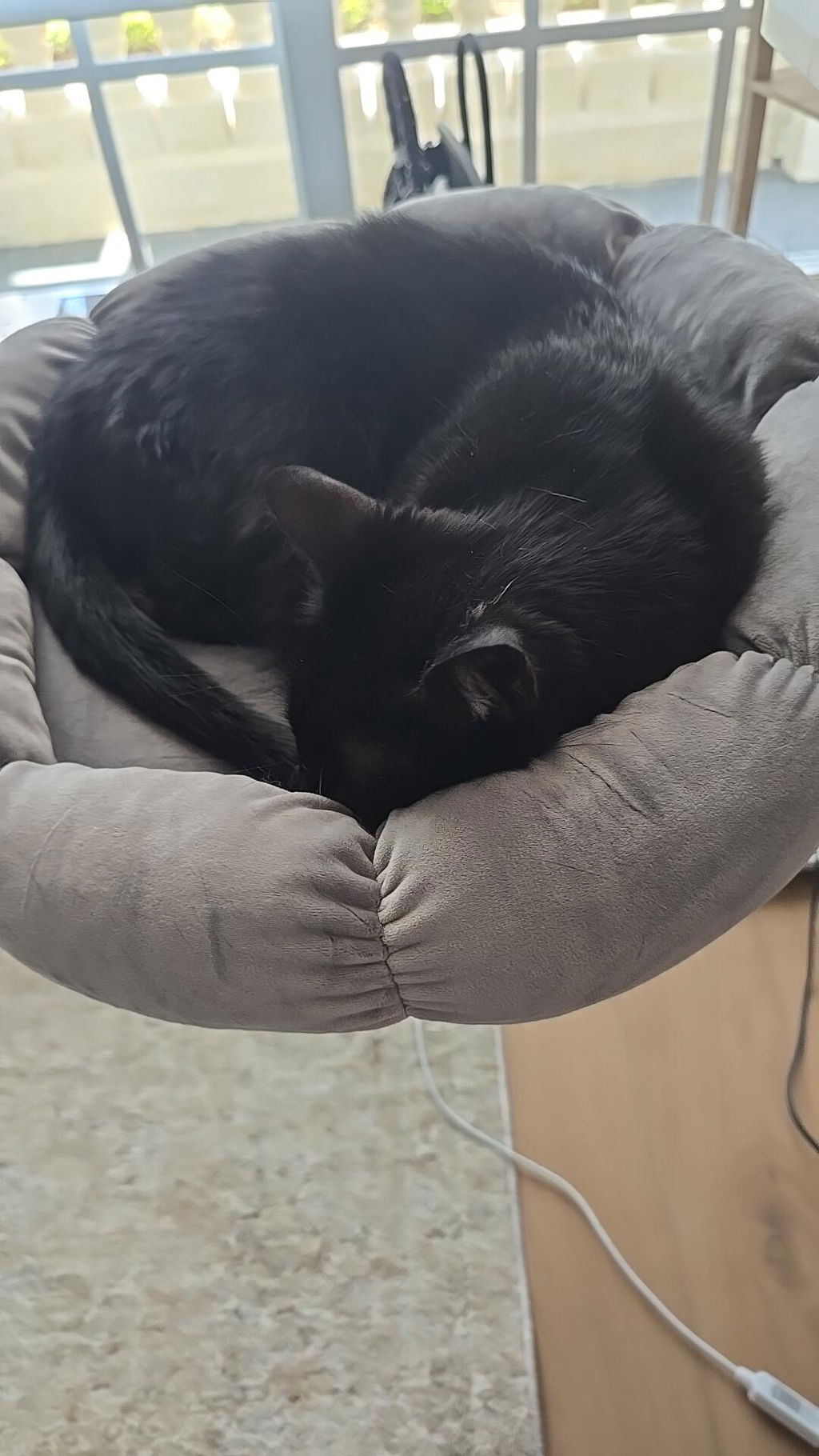 DeskPurrch Cat Bed