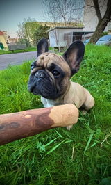 User picture