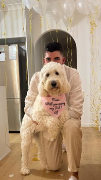 Proposal Dog Bandana - Mum Will You Marry My Dad