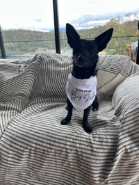 Matching Baby Onesie and Dog Bandana Pregnancy Announcement -  And then they were 4 - Big Sister