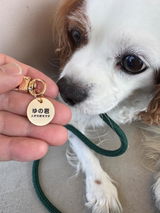 真鍮キーホルダー | QRコード付き犬用迷子札 | アプリ連携