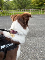 真鍮キーホルダー | QRコード付き犬用迷子札 | アプリ連携