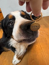 真鍮キーホルダー | QRコード付き犬用迷子札 | アプリ連携
