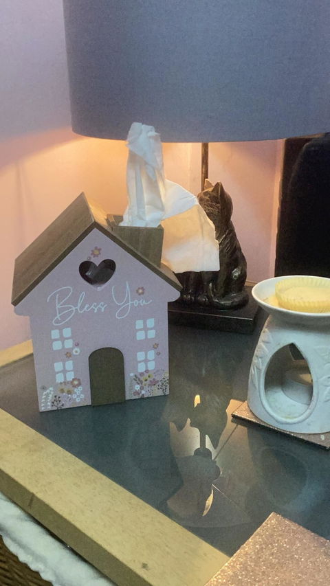Tissue House Box Pink Bless You
