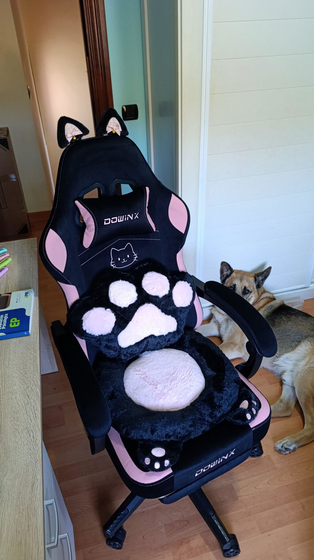 Dowinx Cat Paw Series LS-66D52 Black-pink