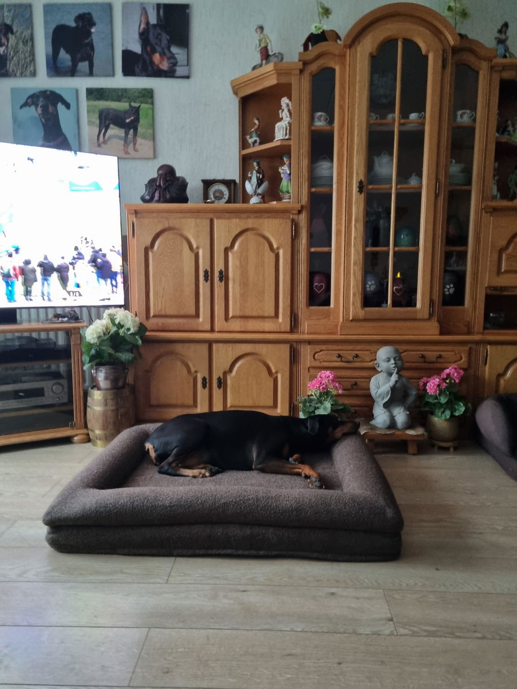 Orthopedische Hondenmand - Bouclé Choco Bruin