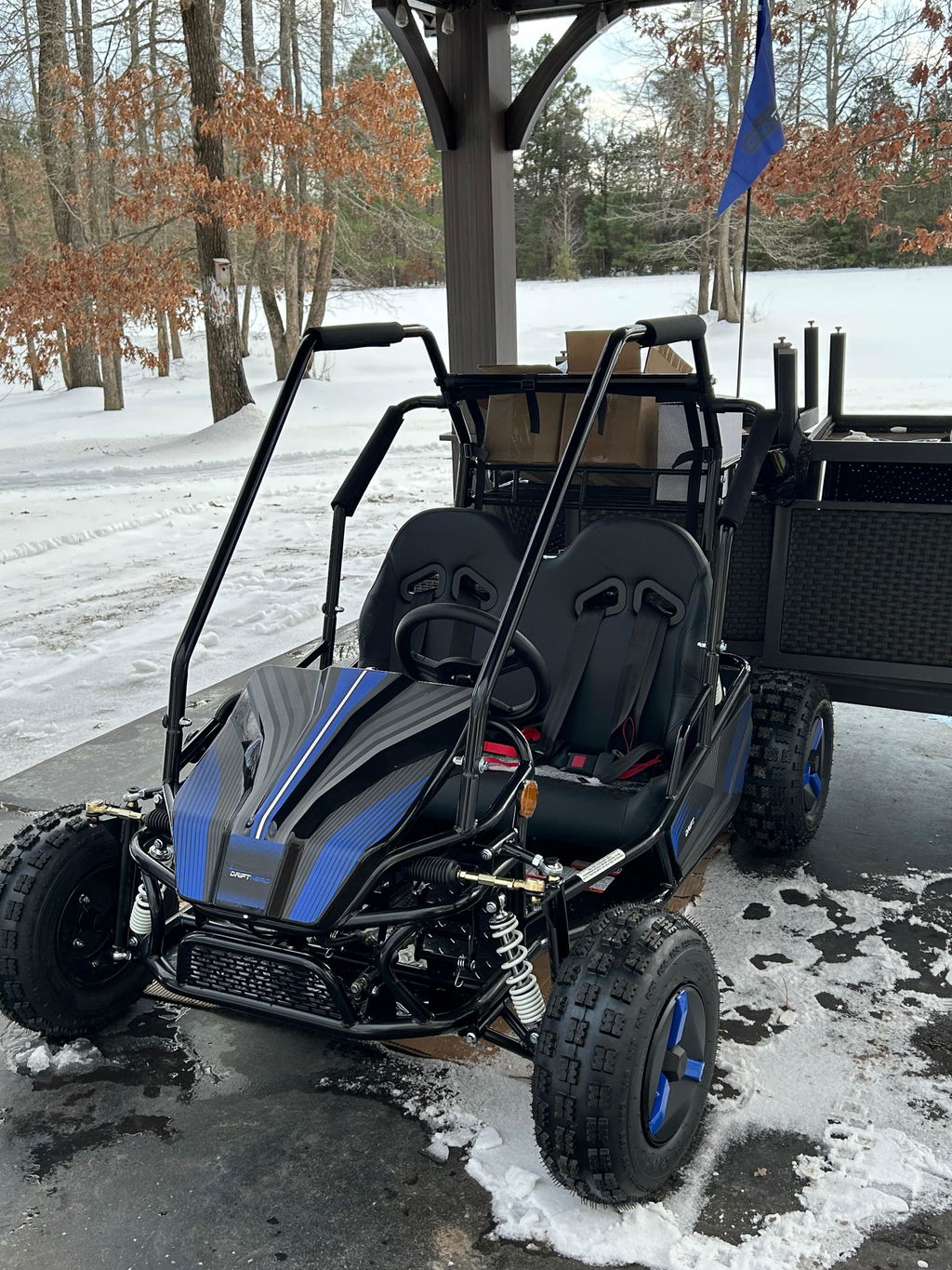 Gas Go-Kart (2 Seat)
