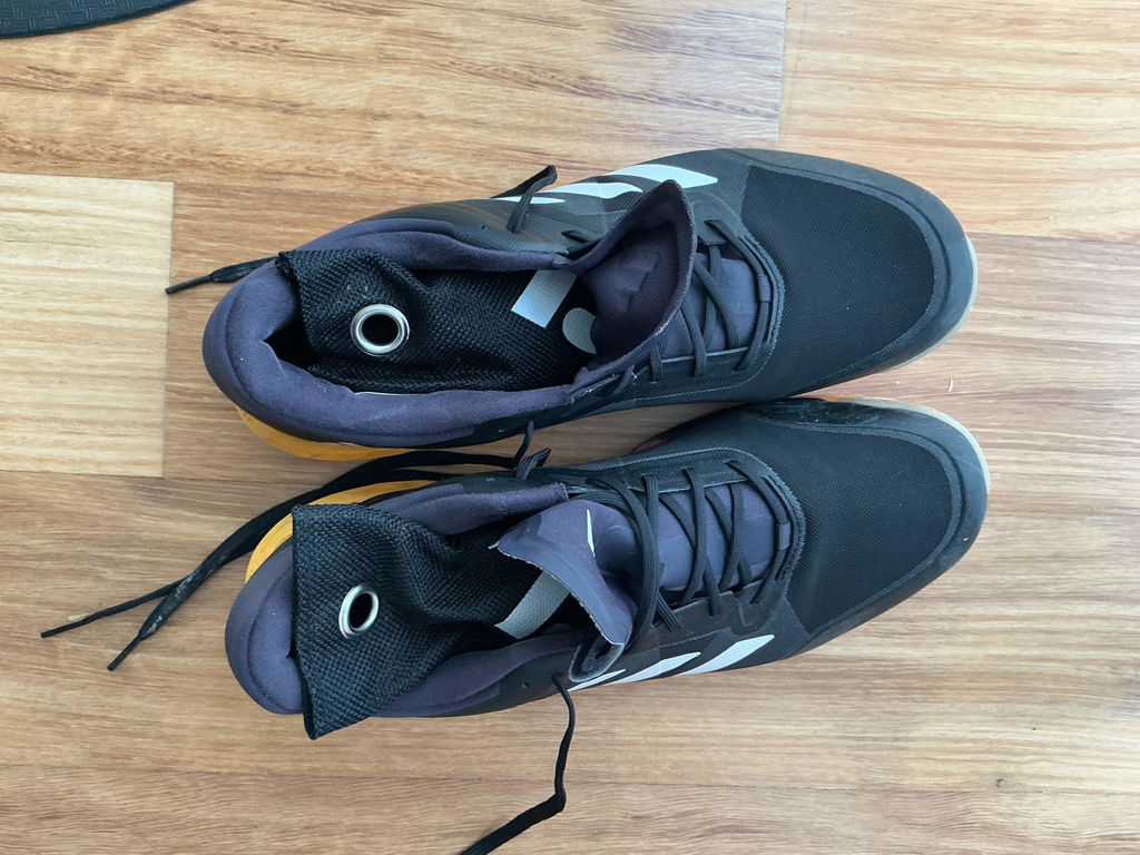 Charcoal Shoe Fresheners