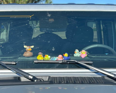 Moose Rubber Duck