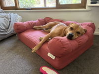 Large Orthopedic  Dog Bed with Three Bolster Cushions - Eco Friendly & Non-Toxic