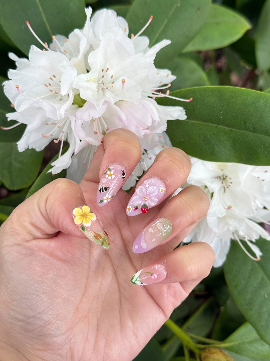 Rosy Flutter Tips