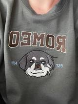 User picture