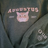 User picture