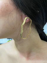 Anillo Identidad