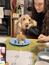 OSTEOart