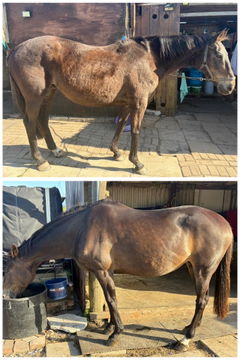 Review picture