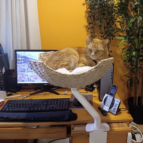 ERGO PURRCH - The Sustainable Desk-Mounted Cat Bed