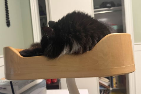 ERGO PURRCH - The Sustainable Desk-Mounted Cat Bed