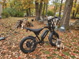 User picture