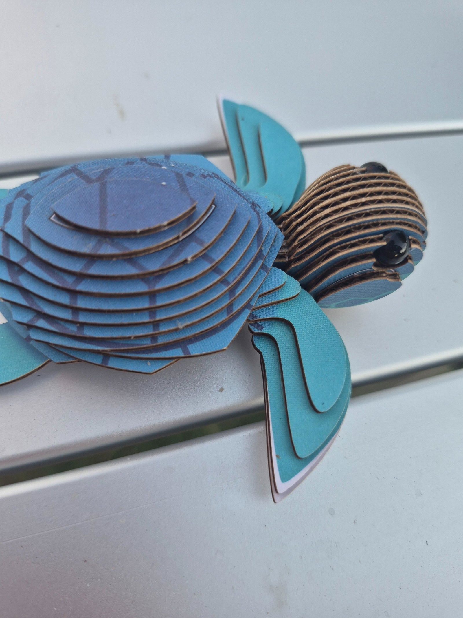 038 Turtle – EUGY