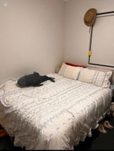 Embroidered French Lace Ruffle Bedding Set / Blue