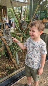 "Koala Tag Vanilla"