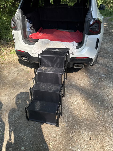 Hundetreppe Auto