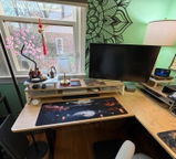 User picture