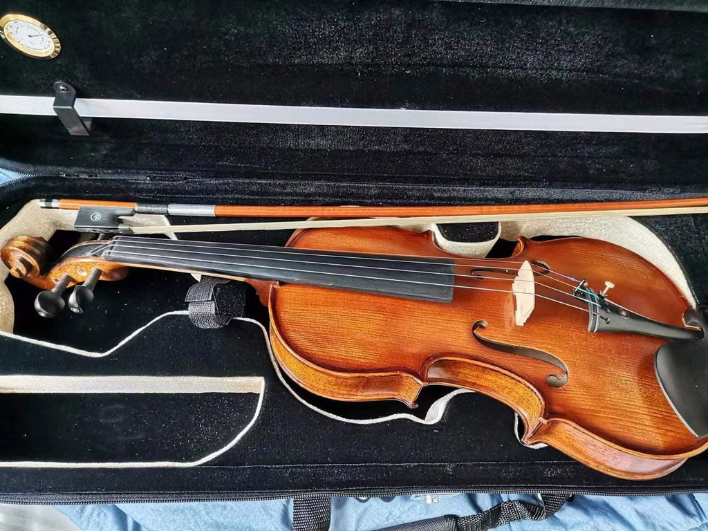 Fiddlover Full Size Elegant Beginner Violin Outfit L014(Ready to Play)