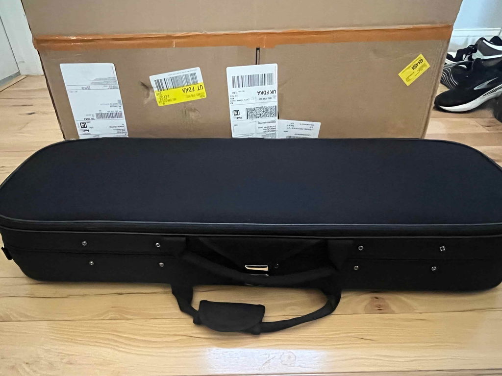 Light Oblong Violin Case CT11 Golden Button