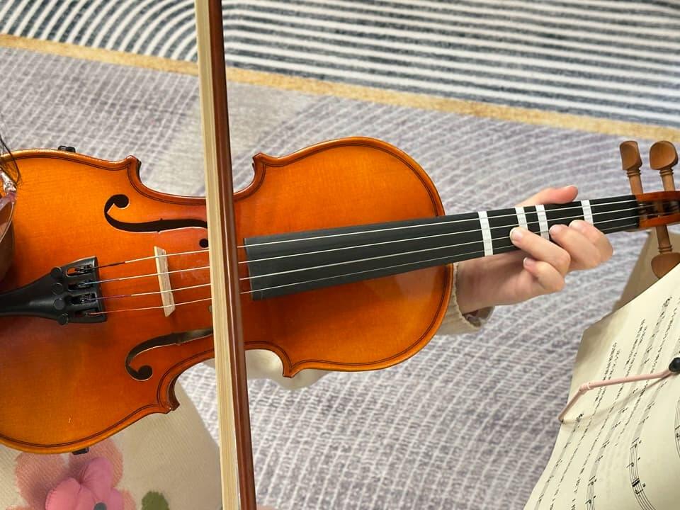 Beginner Violin Outfit w/Case, Rosin, Bows, Tuner,Mute,Shouder Rest,Sticker,Ploshing cloth,Strings  L001