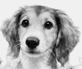 Kennenlern-Bundle: Frische Menüs im Glas (10 + 2 Gratis)