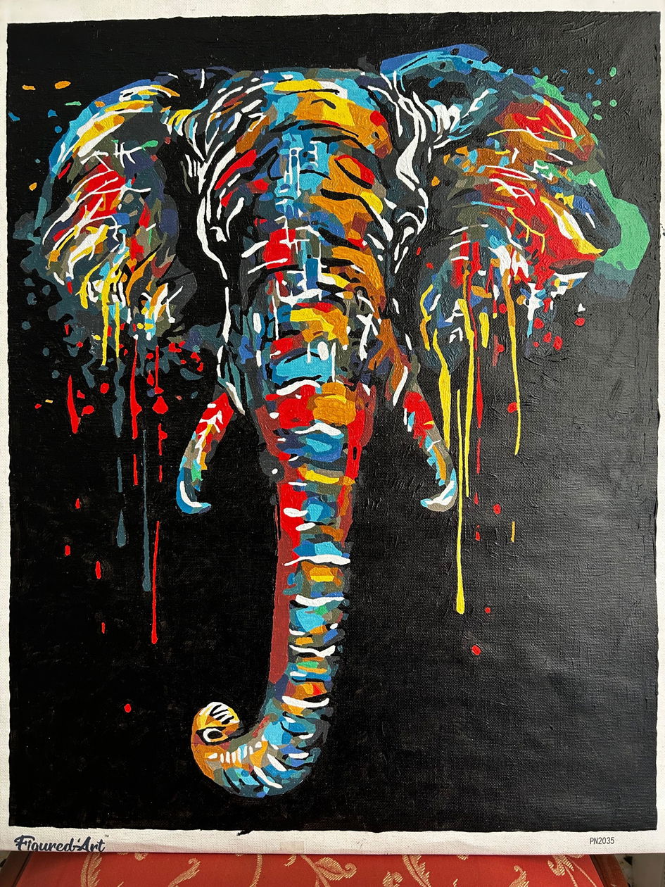 Figured'Art – Kit De Pintura Por Números Elefante Asiático, 40x50 Cm, Lienzo Sin Bastidor, Acrílico