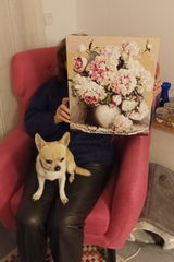 User picture