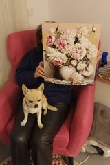 User picture