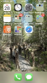 User picture