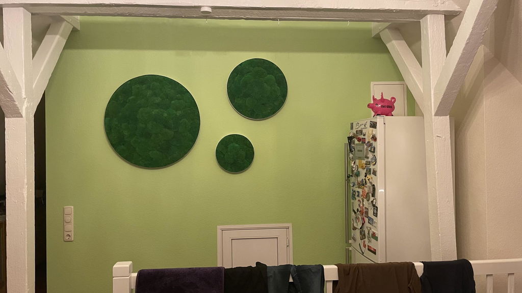 Moosbild ELLIPSOID Ballenmoos 3er Set