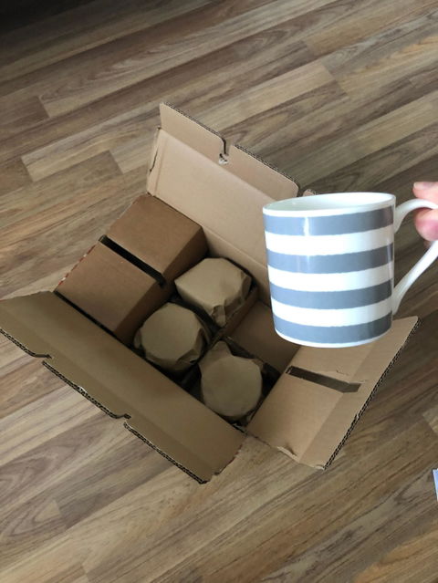 Finsbury China Ltd